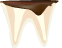 C4